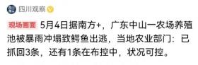 網(wǎng)易訂閱：新澳門資料大全正版資料-廣東新一輪暴雨又要來了！中山神灣有農(nóng)場逃出鱷魚？官方：實(shí)施抓捕，已全部抓回！同時(shí)部分鎮(zhèn)街積水已齊腰深  第5張