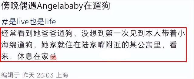 嗶哩嗶哩：2024澳門天天六開彩免費(fèi)資料-楊穎傍晚帶小海綿遛狗被偶遇，一身行頭超10萬，疑主攻香港娛樂圈  第4張