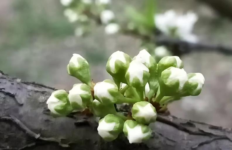 你遲早會(huì)明白，一個(gè)朋友都沒(méi)有的時(shí)候，人生處于這3種狀況  第4張