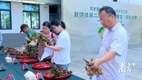 饒平聯(lián)饒“草埔龍眼王”評(píng)比大賽賽果揭曉，專家點(diǎn)評(píng)→  第3張