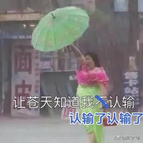 連續(xù)升級！廈門發(fā)布暴雨紅色預(yù)警！緊急提醒→  第13張